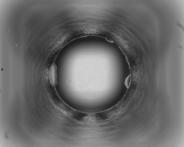 X0000096940211200802081214