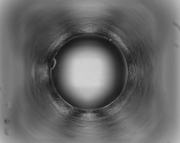 X0000096940212200802081214