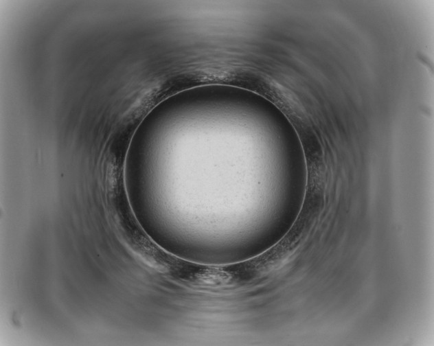 X0000096940215200802081214