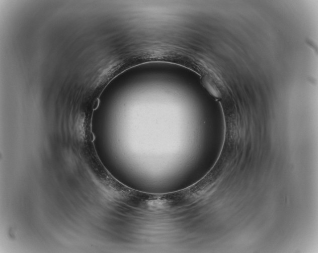 X0000096940216200802081214