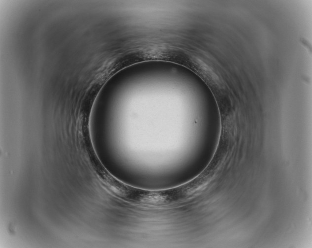X0000096940217200802081214