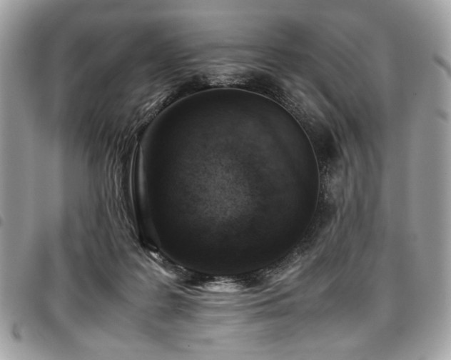 X0000096940219200802081214