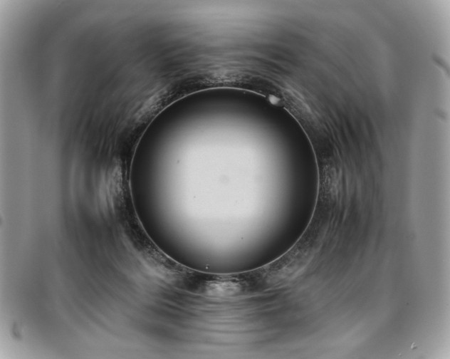 X0000096940220200802081214