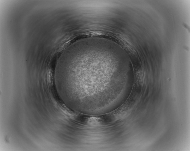 X0000096940222200802081214