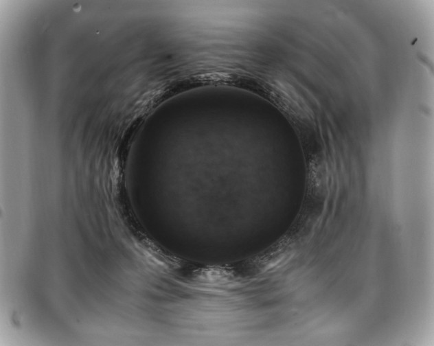 X0000096940223200802081214