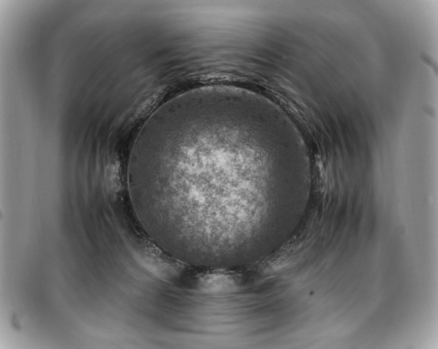 X0000096940224200802081214