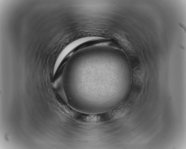X0000096940225200802081213
