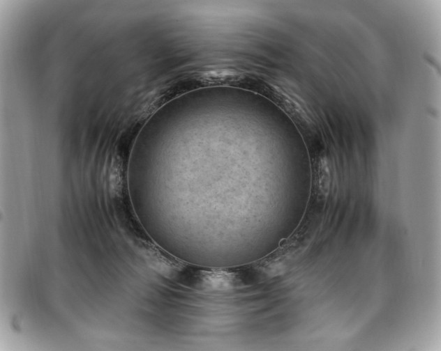X0000096940226200802081213