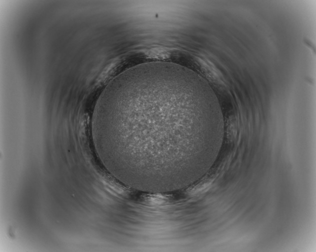X0000096940229200802081213