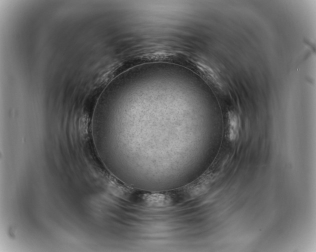 X0000096940230200802081213