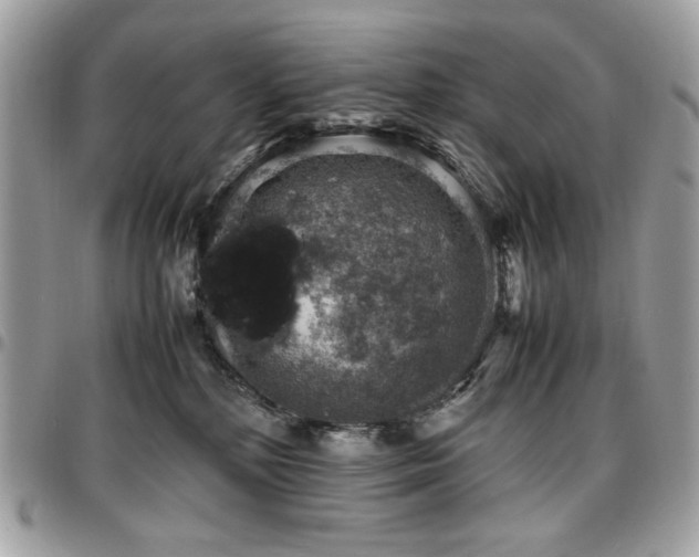 X0000096940232200802081213
