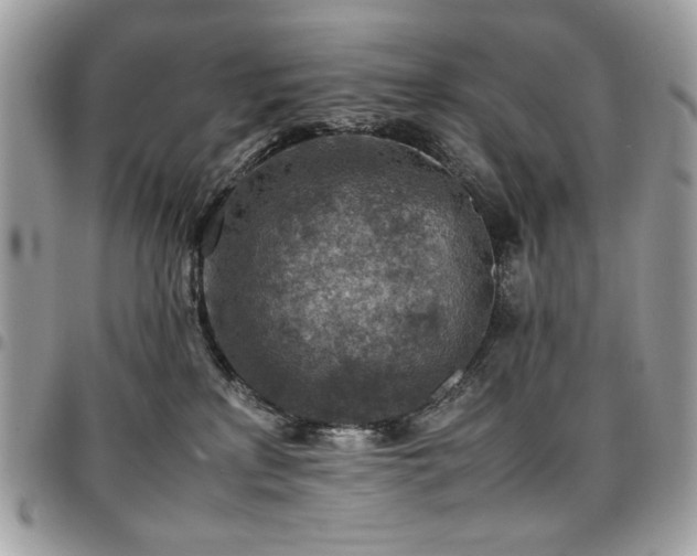 X0000096940233200802081213