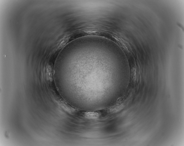 X0000096940234200802081213