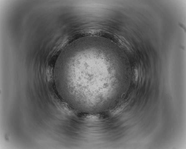 X0000096940236200802081213
