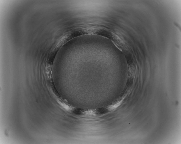 X0000096940237200802081213