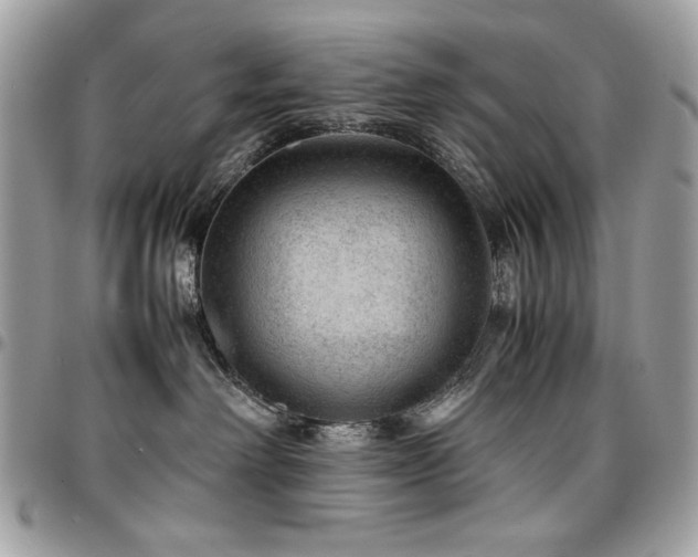 X0000096940238200802081213