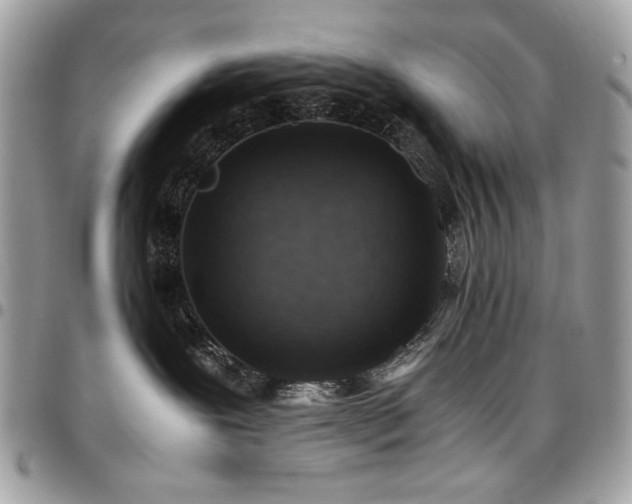 X0000096940239200802081213