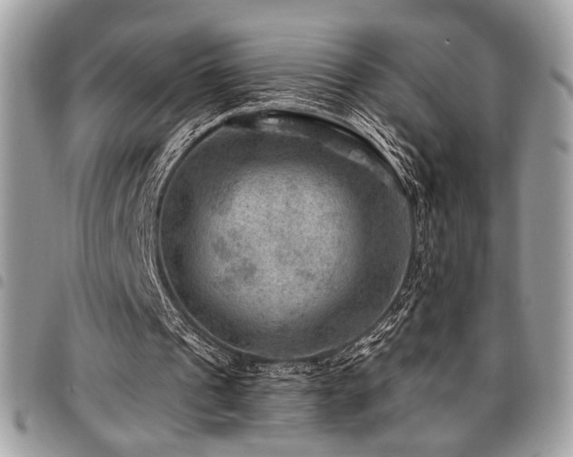 X0000096940241200802081213