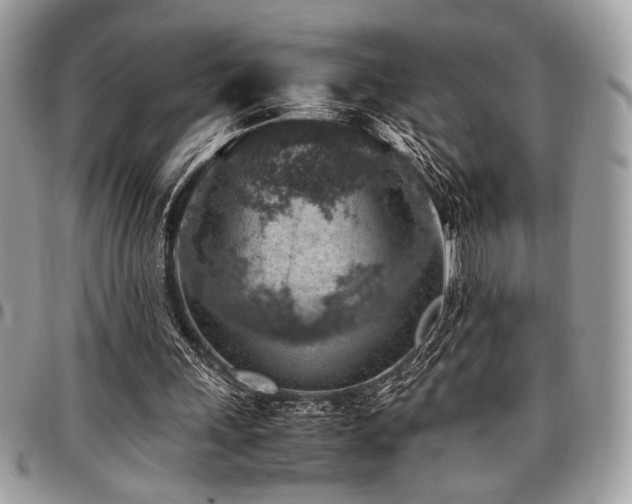 X0000096940243200802081213