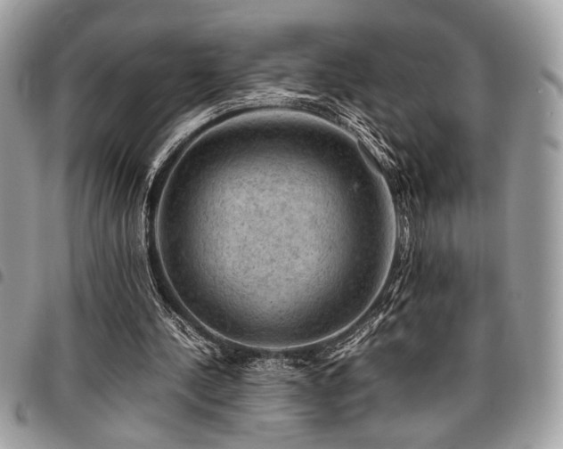X0000096940244200802081213