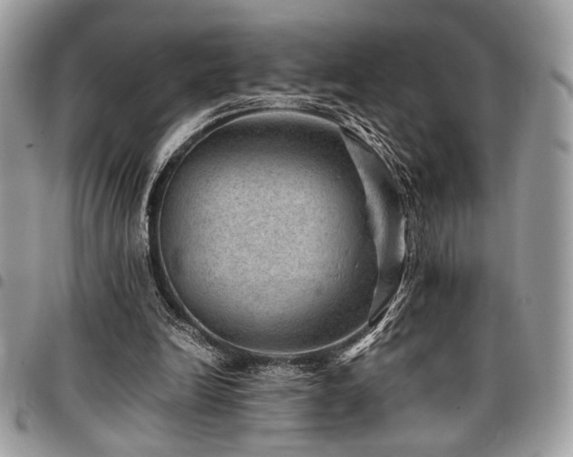 X0000096940246200802081213