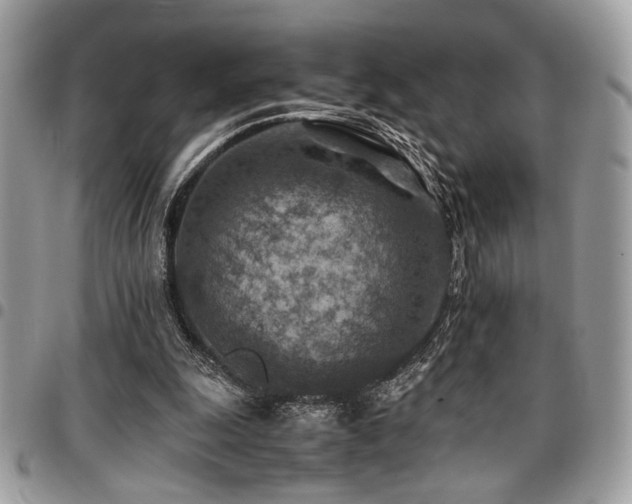 X0000096940247200802081213