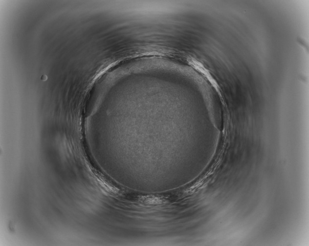 X0000096940249200802081213