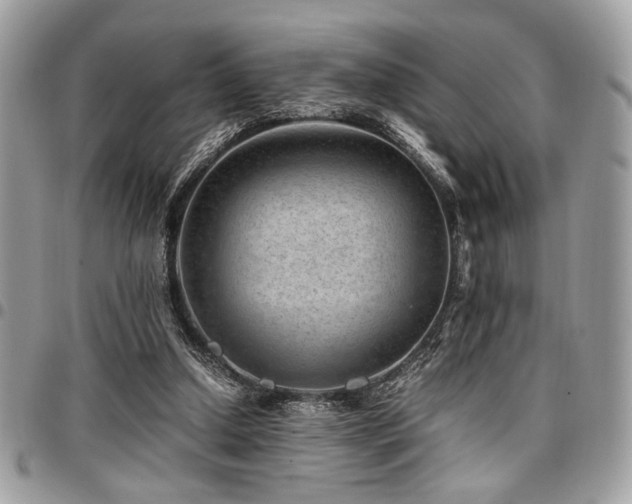 X0000096940250200802081213