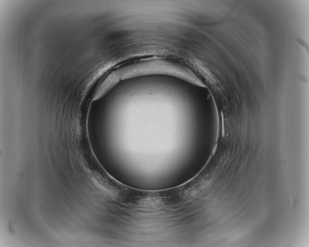 X0000096940252200802081213