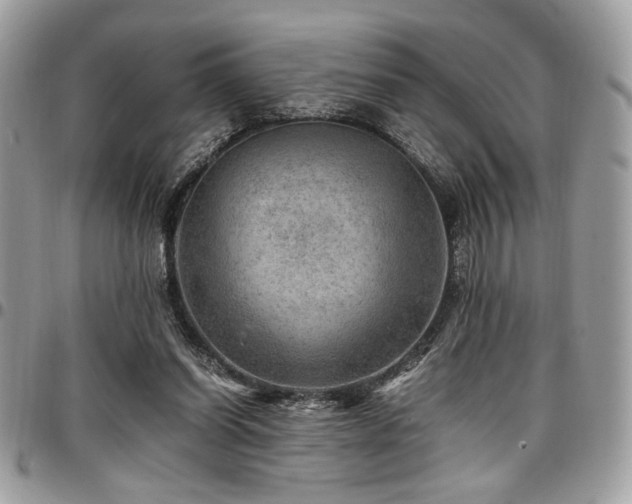 X0000096940254200802081213