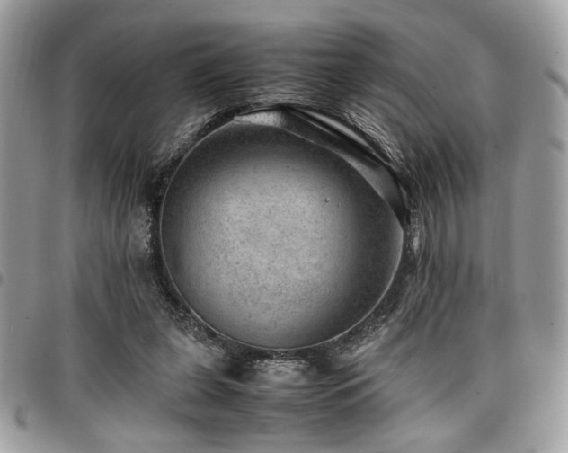 X0000096940255200802081213