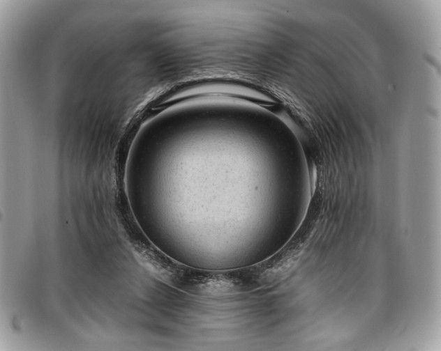 X0000096940256200802081213