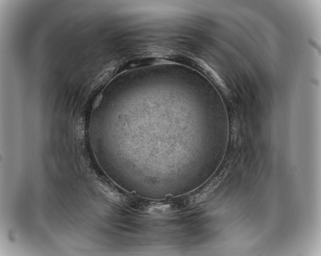 X0000096940257200802081213