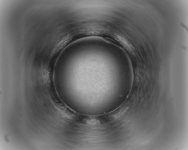 X0000096940258200802081213