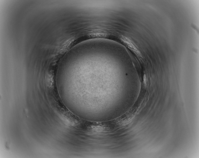 X0000096940259200802081213