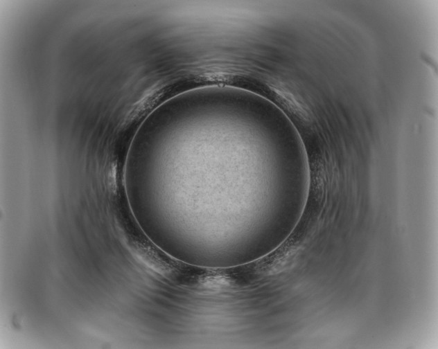 X0000096940262200802081213
