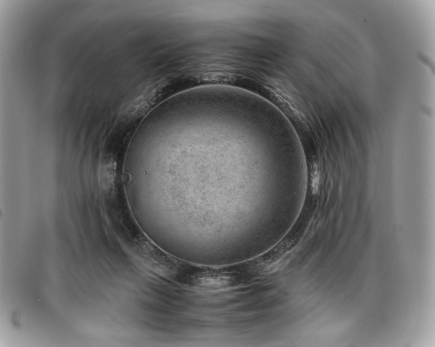 X0000096940263200802081213