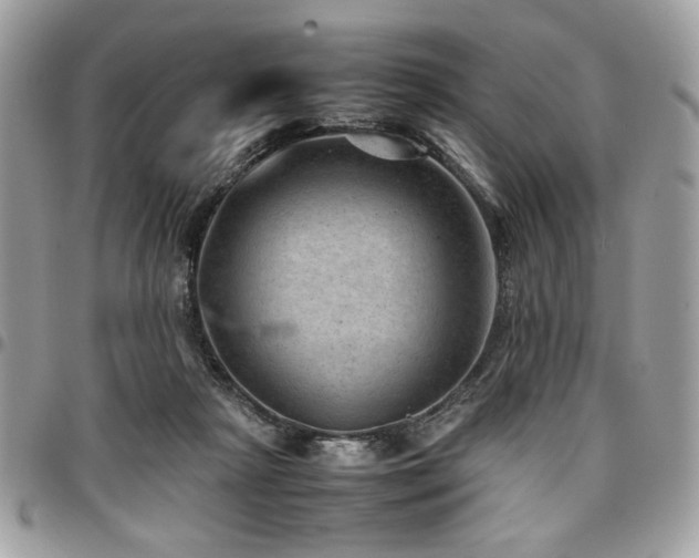 X0000096940265200802081213