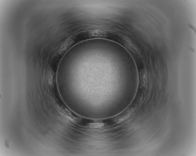 X0000096940266200802081213