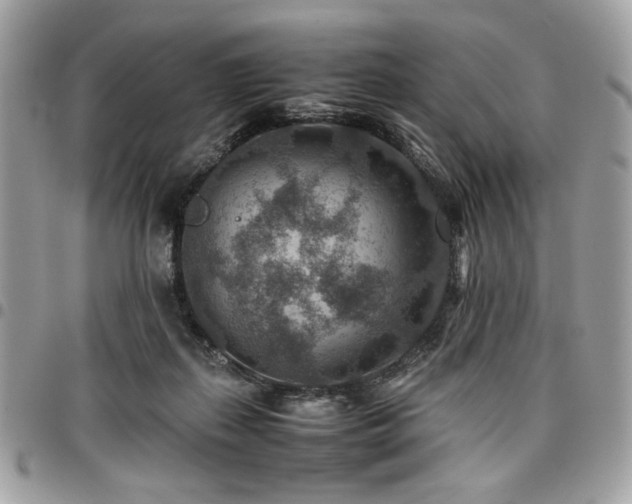 X0000096940267200802081213