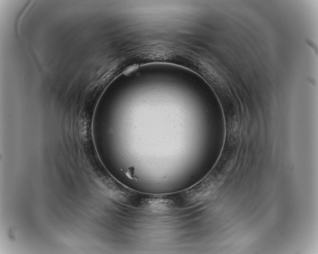X0000096940268200802081213