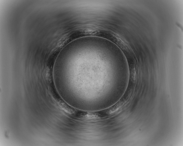 X0000096940270200802081213