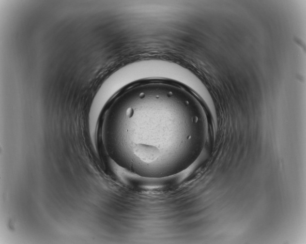 X0000096940272200802081213
