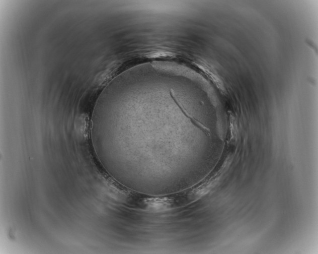 X0000096940273200802081213