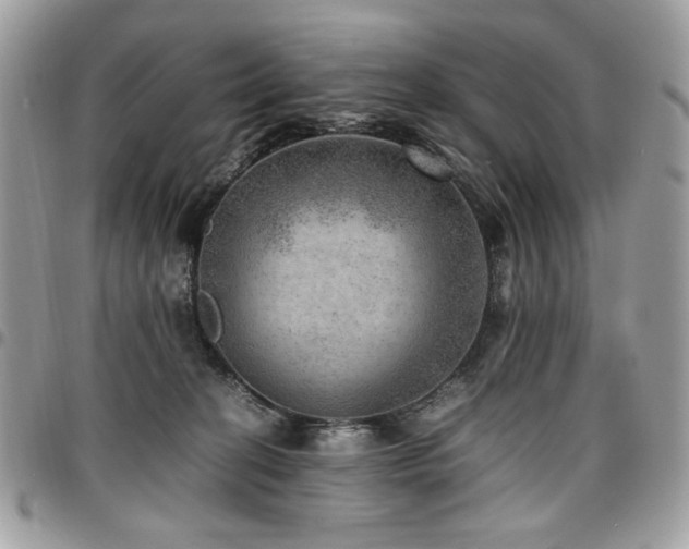 X0000096940274200802081213
