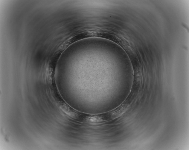 X0000096940275200802081213