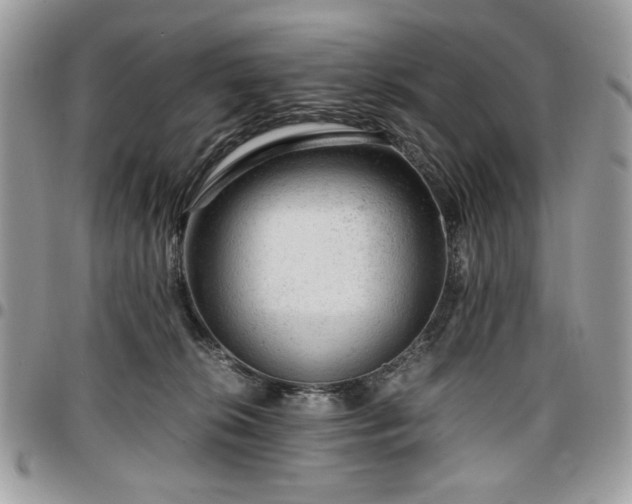 X0000096940276200802081213