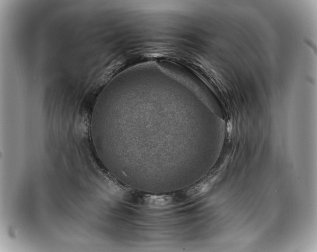 X0000096940277200802081213