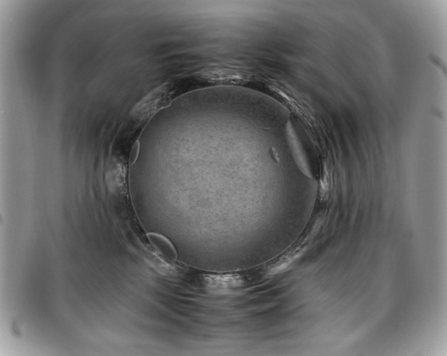 X0000096940281200802081213