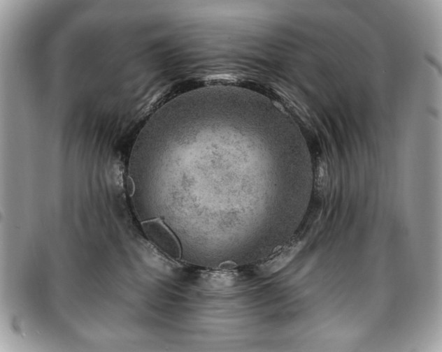 X0000096940282200802081213